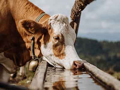 Kathrin Jandl Kathrin Jandl