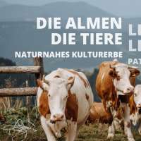 © Gailtaler Almkäse g.U. | NLW - gailtaleralmkaesegu02 250918_bra