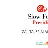 © Gailtaler Almkäse g.U. | NLW - gailtaleralmkaesegu00 250918_bra