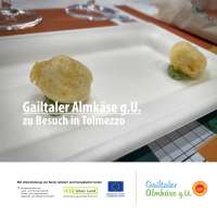 © Gailtaler Almkäse g.U. - 251011_filo_09 251011_ilfilodeisapori