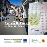 © Gailtaler Almkäse g.U. - 251011_filo_02 251011_ilfilodeisapori